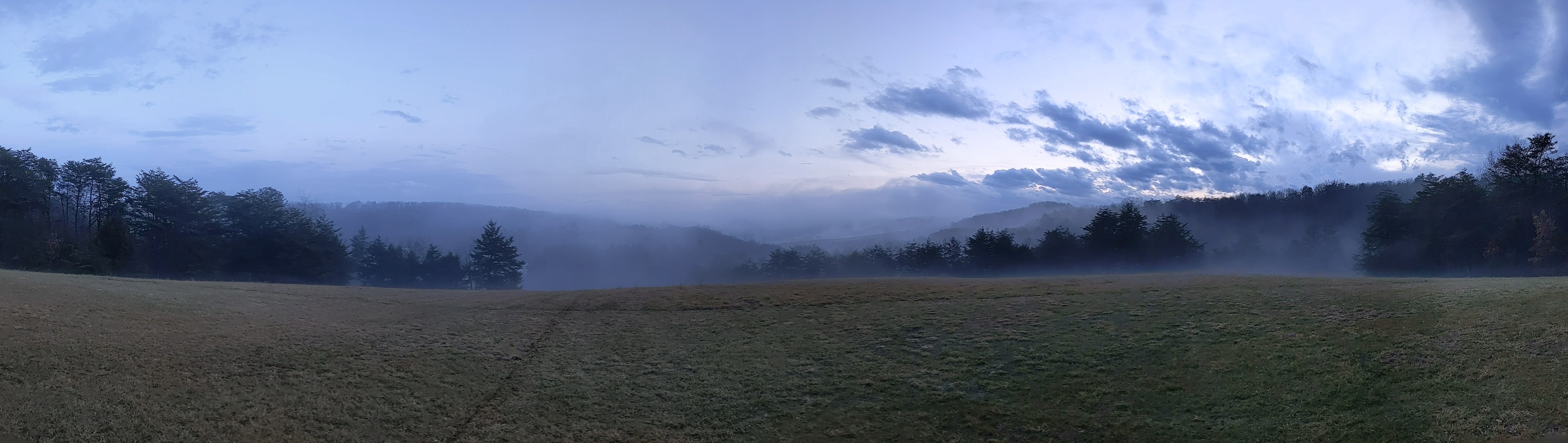 My sister lives on a large undeveloped property in Shenandoah County, Virginia. We're able to go on short hikes around her property from time to time. This is a view of Persimmon Hill.