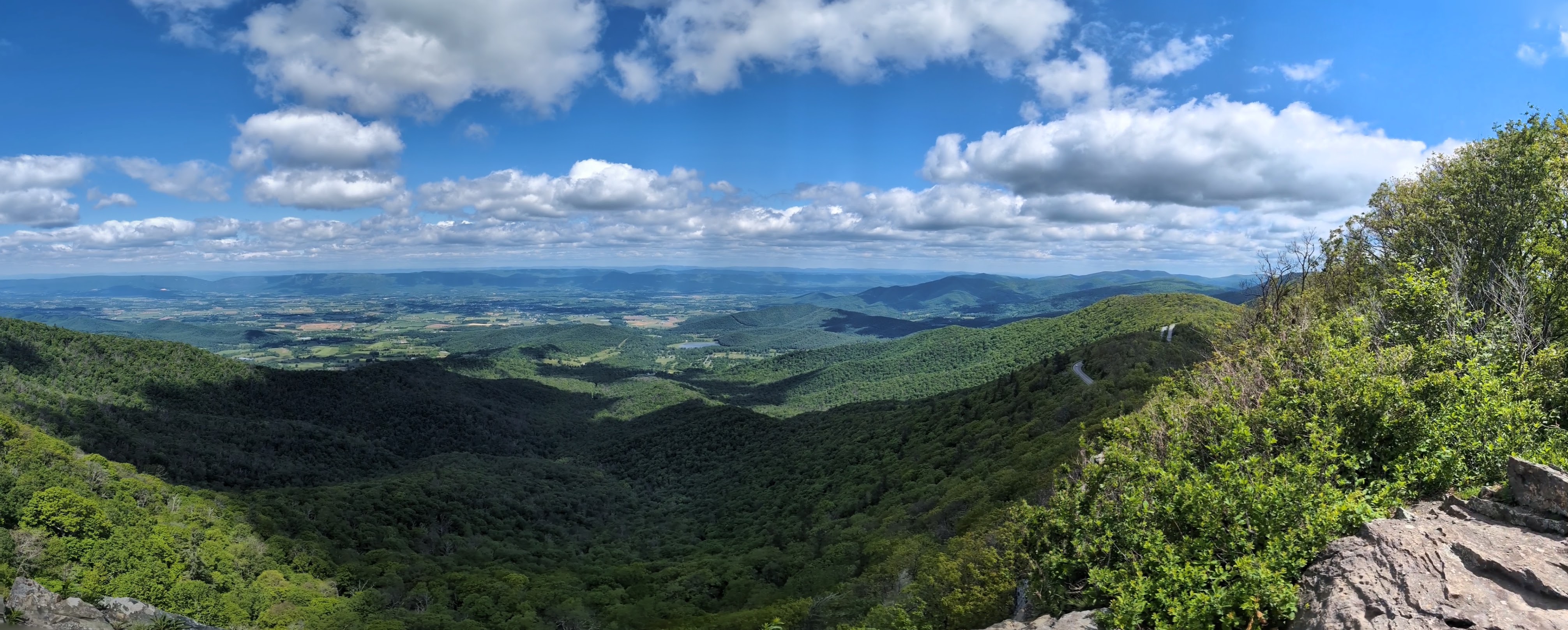 Not sure what trail this was, but I do recall it was off the Skyline Drive.